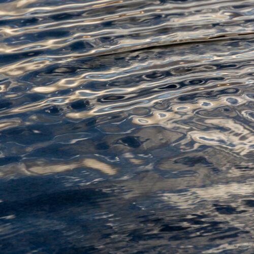 159__X4A0522 159__X4A0522